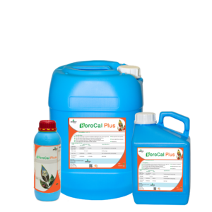 BOROCAL-PLUS®