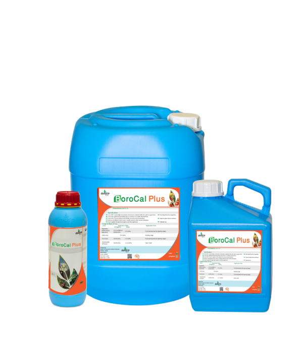 BOROCAL-PLUS®