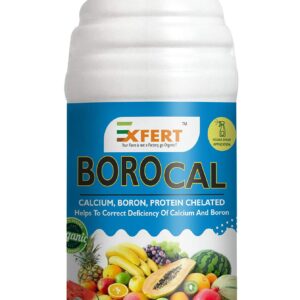 BOROCAL®
