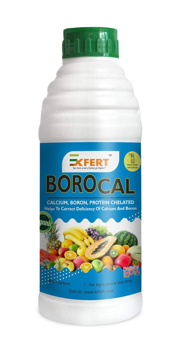 BOROCAL®