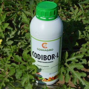 CODIBOR-L®