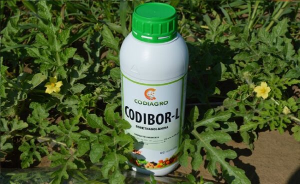 CODIBOR-L®